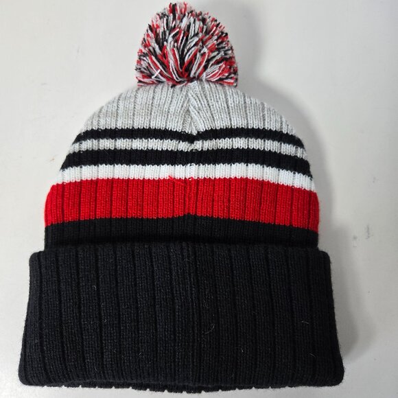 NWT Raptors Toque - Picture 2 of 3